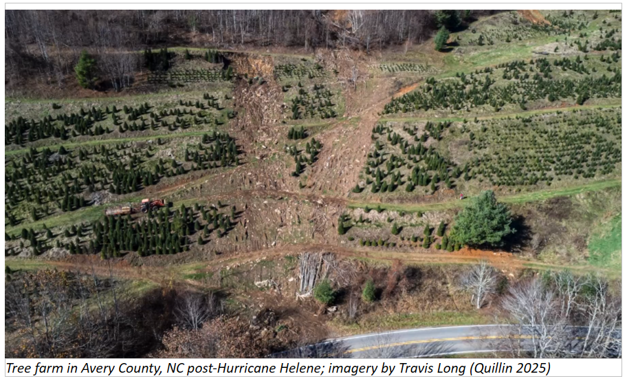 Tree farm in Avery County, NC post-Hurricane Helene; imagery by Travis Long (Quillin 2025)
