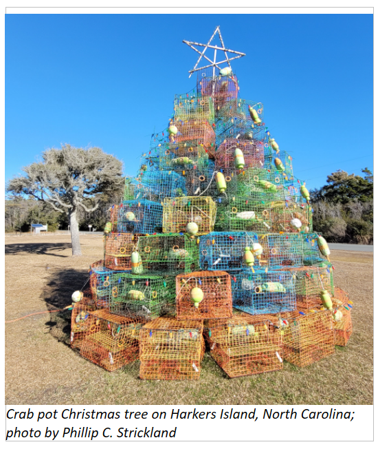 Crab pot Christmas tree on Harkers Island, North Carolina; photo by Phillip C. Strickland